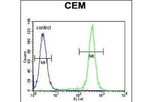 CCD Antibody (C-term) (ABIN654810 and ABIN2844484) flow cytometric analysis of CEM cells (right histogram) compared to a negative control cell (left histogram). (CCDC122 抗体  (C-Term))