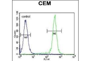 CCD Antibody (C-term) (ABIN654810 and ABIN2844484) flow cytometric analysis of CEM cells (right histogram) compared to a negative control cell (left histogram). (CCDC122 抗体  (C-Term))