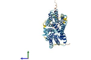 Protein Structure (PS) image for Solute Carrier Family 46 (Folate Transporter), Member 1 (SLC46A1) (AA 1-459) protein (His tag) (ABIN7558061)