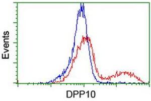 HEK293T cells transfected with either RC205435 overexpress plasmid (Red) or empty vector control plasmid (Blue) were immunostained by anti-DPP10 antibody (ABIN2455055), and then analyzed by flow cytometry. (DPP10 抗体)