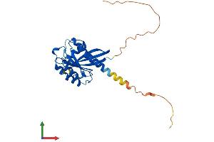 Protein Structure (PS) image for RAB33A, Member RAS Oncogene Family (RAB33A) (AA 1-237) protein (His tag) (ABIN7551253)