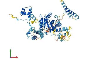 AlphaFold protein structure predicition of Human Recombinant JRKL Protein, UniprotID Q9Y4A0 (JRKL Protein (AA 1-524) (His tag))