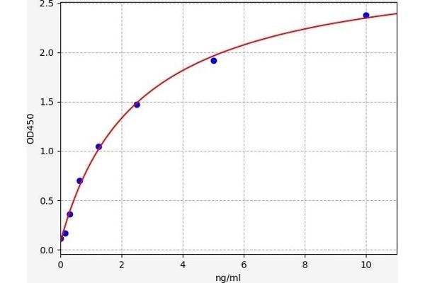 CNR1 ELISA 试剂盒