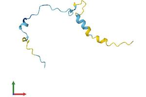 Protein Structure (PS) image for Anaphase Promoting Complex Subunit 13 (ANAPC13) (AA 1-74) protein (Fc Tag) (ABIN7552100)