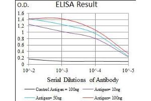 Black line: Control Antigen (100 ng), Purple line: Antigen(10 ng), Blue line: Antigen (50 ng), Red line: Antigen (100 ng), (PDE1B 抗体  (AA 370-536))