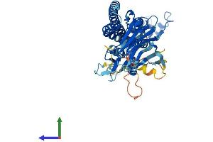 Protein Structure (PS) image for Tripartite Motif Containing 49C (TRIM49C) (AA 1-452) protein (His tag) (ABIN7544672)
