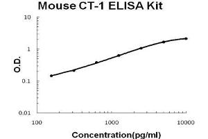 Mouse Cardiotrophin-1 PicoKine ELISA Kit standard curve