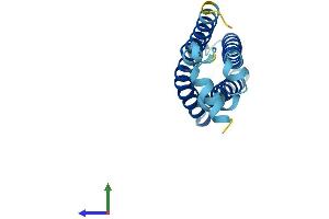 AlphaFold protein structure predicition of Human Recombinant TMEM138 Protein, UniprotID Q9NPI0