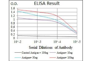 Red: Control Antigen (100ng) ; Purple: Antigen (10ng) ; Green: Antigen (50ng) ; Blue: Antigen (100ng). (TWF1 抗体  (AA 335-384))