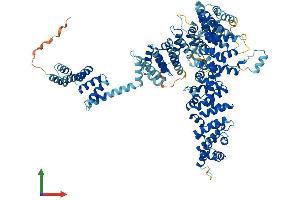 Protein Structure (PS) image for Unc-45 Homolog A (UNC45A) (AA 1-944) protein (His tag) (ABIN7555976)