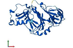 Protein Structure (PS) image for 3-hydroxyanthranilate 3,4-Dioxygenase (HAAO) (AA 1-286) protein (His tag) (ABIN7558173)