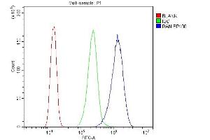 Flow Cytometry analysis of A431 cells using anti-Ran antibody (ABIN5518950). (RAN 抗体  (AA 2-216))
