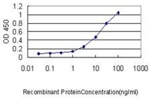 Detection limit for recombinant GST tagged TFEB is approximately 0. (TFEB 抗体  (AA 1-476))