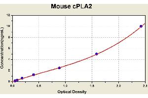 Diagramm of the ELISA kit to detect Mouse cPLA2with the optical density on the x-axis and the concentration on the y-axis. (PLA2G4A ELISA 试剂盒)