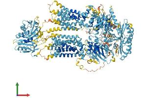 Protein Structure (PS) image for ATP-Binding Cassette, Sub-Family A (ABC1), Member 9 (ABCA9) (AA 1-1623) protein (His tag) (ABIN7564669)