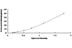 Typical Standard Curve (Laminin beta 3 ELISA 试剂盒)