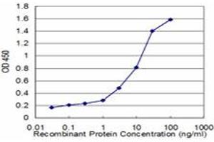 Detection limit for recombinant GST tagged RPL36A is approximately 0. (RPL36A 抗体  (AA 7-106))
