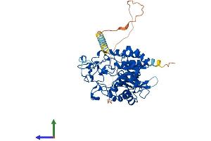 Protein Structure (PS) image for Mannosidase, Endo-alpha (MANEA) (AA 1-462) protein (His tag) (ABIN7557961)