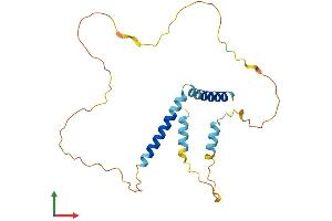 AlphaFold protein structure predicition of Mouse Recombinant Ier2 Protein, UniprotID P17950 (IER2 Protein (AA 1-221) (His tag))