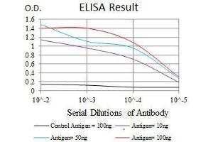 Black line: Control Antigen (100 ng), Purple line: Antigen(10 ng), Blue line: Antigen (50 ng), Red line: Antigen (100 ng), (RAP1A 抗体)