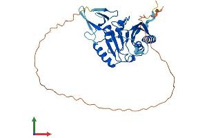 Protein Structure (PS) image for Fibrillarin (FBL) (AA 1-327) protein (His tag) (ABIN7563176)