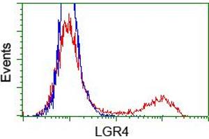 Image no. 2 for anti-Leucine-Rich Repeat Containing G Protein-Coupled Receptor 4 (LGR4) (AA 230-540) antibody (ABIN1491239) (LGR4 抗体  (AA 230-540))