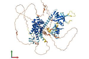 Protein Structure (PS) image for rho Guanine Nucleotide Exchange Factor (GEF) 19 (ARHGEF19) (AA 1-802) protein (His tag) (ABIN7558955)