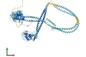 Protein Structure (PS) image for SMC6 Structural Maintenance of Chromosomes 6-Like 1 (SMC6) (AA 1-1097) protein (His tag) (ABIN7564866)
