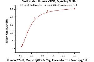 ELISA image for Immunoglobulin Superfamily, Member 11 (IGSF11) (AA 23-241) (Active) protein (Fc Tag,AVI tag,Biotin) (ABIN6923166)