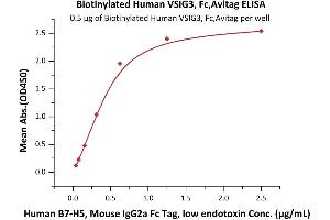 Immobilized Biotinylated Human VSIG3, Fc,Avitag (ABIN6923166,ABIN6938886) at 5 μg/mL (100 μL/well) on Streptavidin  precoated (0.