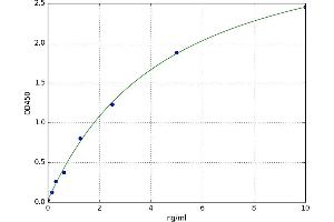 A typical standard curve (ATG7 ELISA 试剂盒)