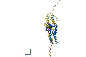 Protein Structure (PS) image for CD209 (CD209) (AA 1-404) protein (His tag) (ABIN7553025)