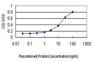 Detection limit for recombinant GST tagged HSPA2 is approximately 0. (HSPA2 抗体  (AA 1-639))