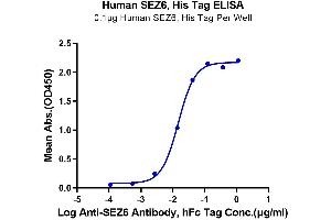 Immobilized Human SEZ6, His Tag at 1 μg/mL (100 μL/well) on the plate.