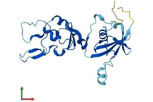 Protein Structure (PS) image for Cytochrome B5 Domain Containing 1 (CYB5D1) (AA 1-228) protein (His tag) (ABIN7557486)