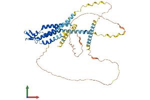Protein Structure (PS) image for Gap Junction Protein, gamma 2, 47kDa (GJC2) (AA 1-439) protein (His tag) (ABIN7546932)