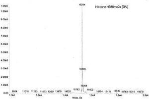 Mass Spectrometry (MS) image for Histone 3 (H3) (H3R8me2a) protein (ABIN2669564)