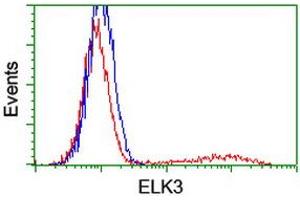HEK293T cells transfected with either RC203114 overexpress plasmid (Red) or empty vector control plasmid (Blue) were immunostained by anti-ELK3 antibody (ABIN2455066), and then analyzed by flow cytometry. (ELK3 抗体)