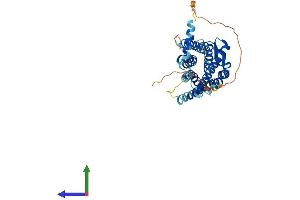 Protein Structure (PS) image for Galanin Receptor 2 (GALR2) (AA 1-371) protein (His tag) (ABIN7562675)