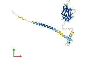 Protein Structure (PS) image for CD40 Ligand (CD40LG) (AA 1-260) protein (His tag) (ABIN7563023)