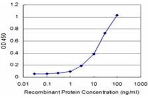 Detection limit for recombinant GST tagged PRKRIP1 is approximately 3ng/ml as a capture antibody. (PRKRIP1 抗体  (AA 1-184))
