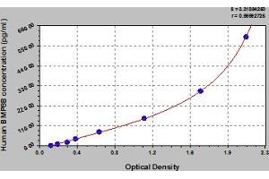 Typical Standard Curve (BMP8B ELISA 试剂盒)