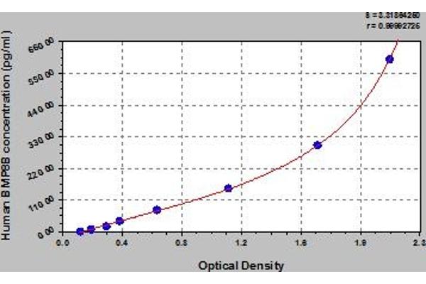 BMP8B ELISA 试剂盒