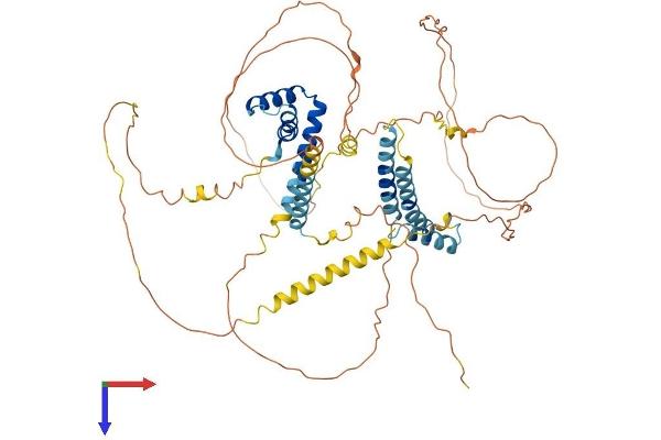 HMGXB4 Protein (AA 1-601) (His tag)