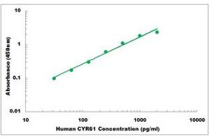 Representative Standard Curve (CYR61 ELISA 试剂盒)