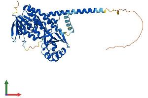 Protein Structure (PS) image for Kynurenine 3-Monooxygenase (Kynurenine 3-Hydroxylase) (KMO) (AA 1-479) protein (His tag) (ABIN7560050)
