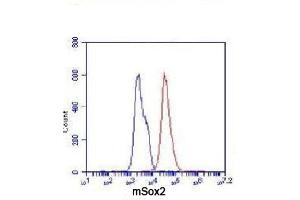 Flow Cytometry analysis of F9 cells stained with Sox2 (red, 1/100 dilution), followed by FITC-conjugated goat anti-mouse IgG. (SOX2 抗体)