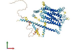 AlphaFold protein structure predicition of Human Recombinant TMC4 Protein, UniprotID Q7Z404