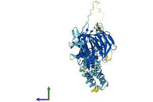 AlphaFold protein structure predicition of Mouse Recombinant Klhl25 Protein, UniprotID Q8R2P1