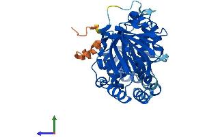 Protein Structure (PS) image for Sphingosine Kinase 1 (SPHK1) (AA 1-384) protein (His tag) (ABIN7546271)